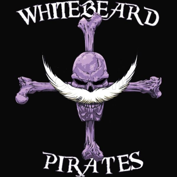 Whitebeard Pirate Logo One Piece Kids Sweatshirt Kidozicom - roblox akainu shirt
