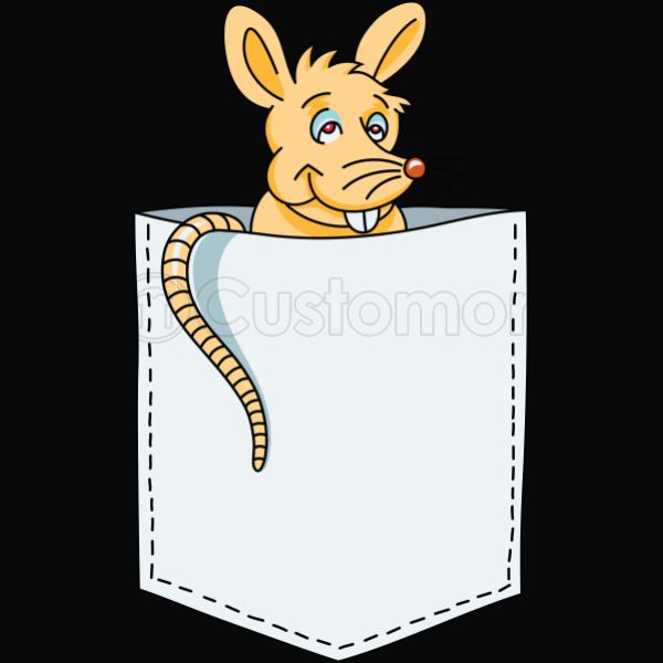 Mouse Rat In Pocket Women S T Shirt Kidozi Com