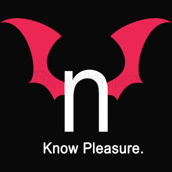 Hentai Toddler Porn - N Hentai Logo Know Pleasure Unisex Hoodie | Kidozi.com