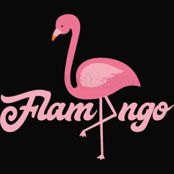Flamingo Kids Hoodie Kidozi Com